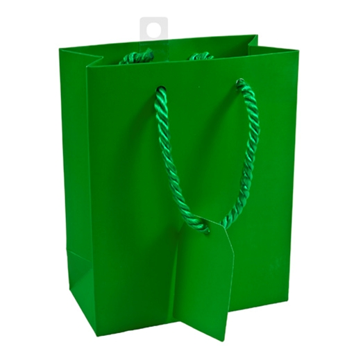 Green Matte Small Gift Bag