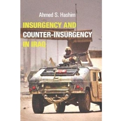 INSURGENCY+COUNTER-INSURGENCY IN IRAQ