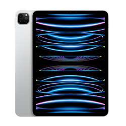 11-Inch iPad Pro WiFi 2TB 4th Gen